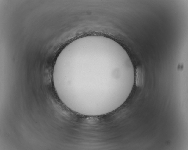 X0000110911491200907021422