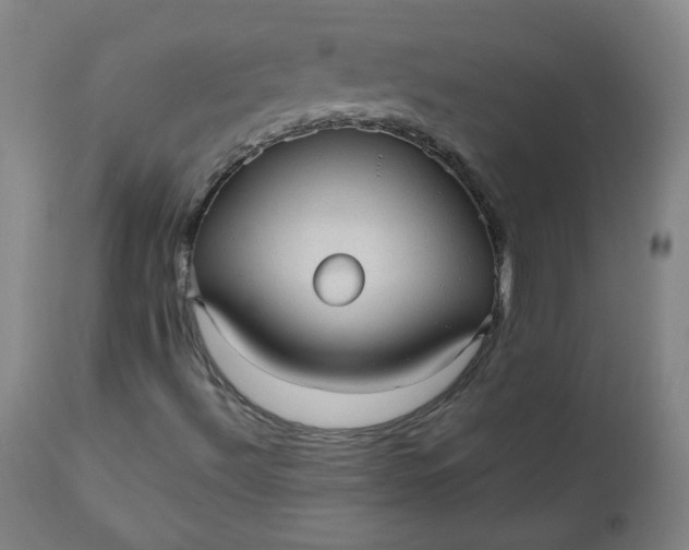 X0000110911492200907021422