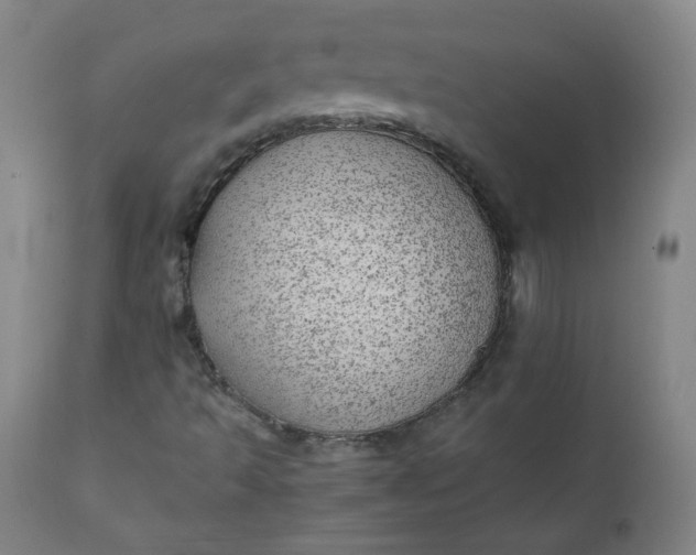 X0000110911493200907021422