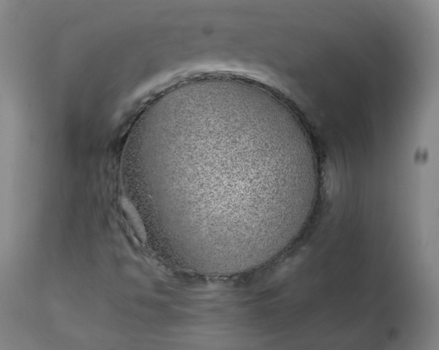 X0000110911494200907021422