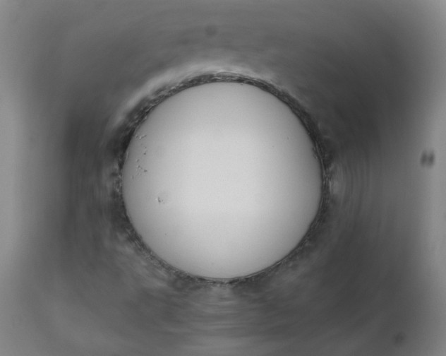 X0000110911495200907021422