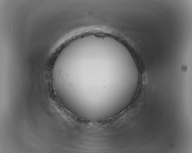 X0000110911496200907021422