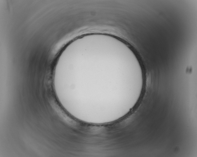 X0000110911498200907021422