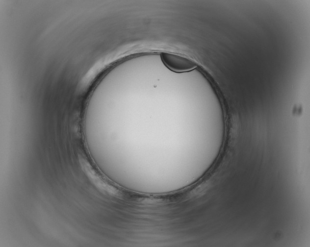 X0000110911499200907021422