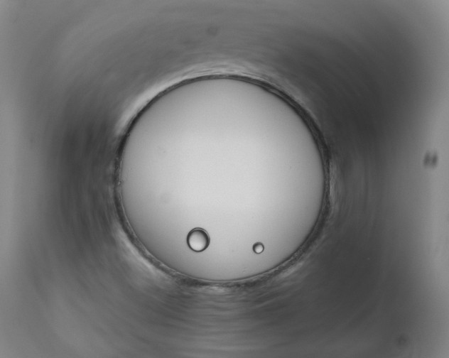 X0000110911500200907021422