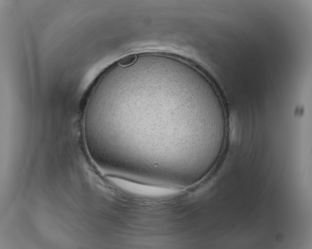 X0000110911501200907021422