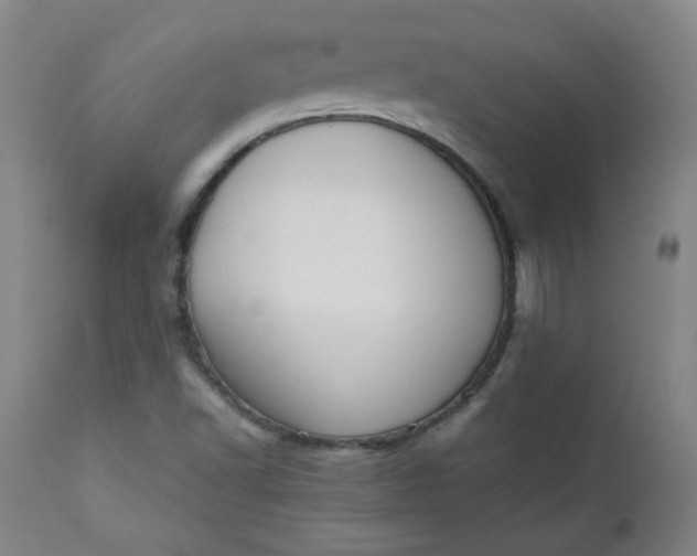 X0000110911502200907021422