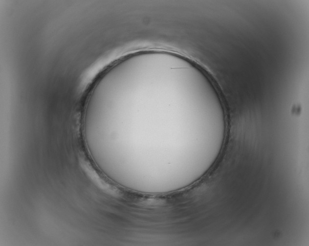 X0000110911503200907021422