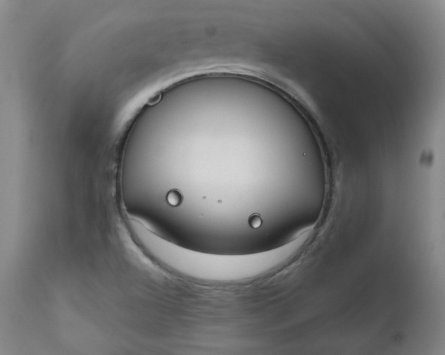 X0000110911504200907021422