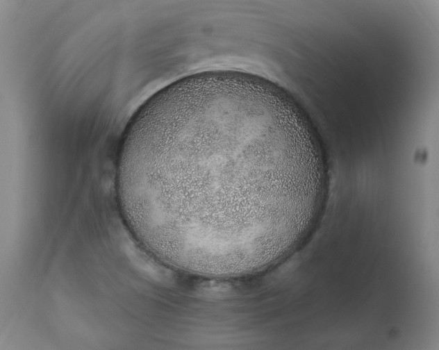 X0000110911505200907021422