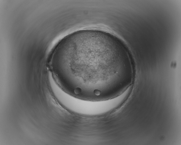 X0000110911506200907021422