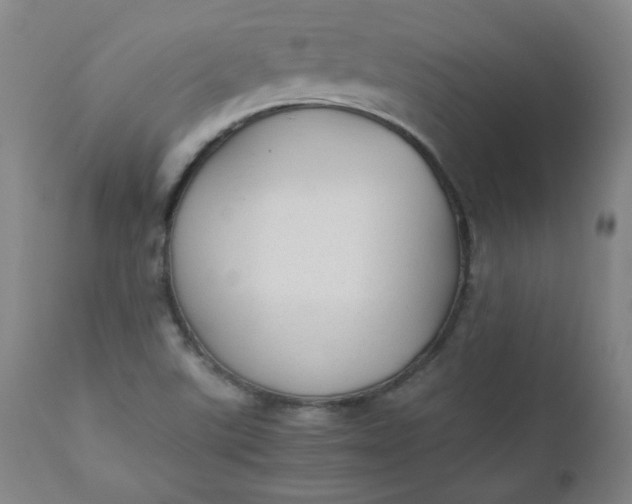 X0000110911507200907021422