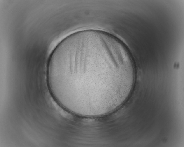 X0000110911508200907021422