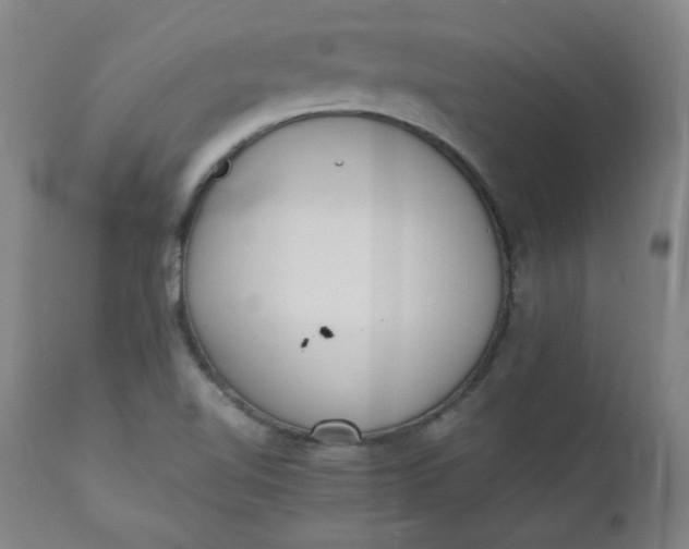 X0000110911510200907021423