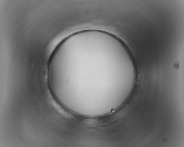 X0000110911511200907021423