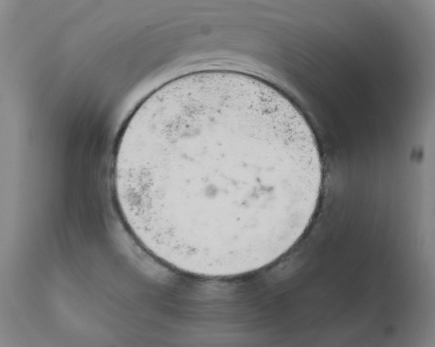 X0000110911514200907021423