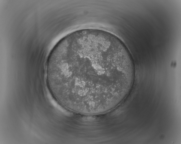 X0000110911515200907021423