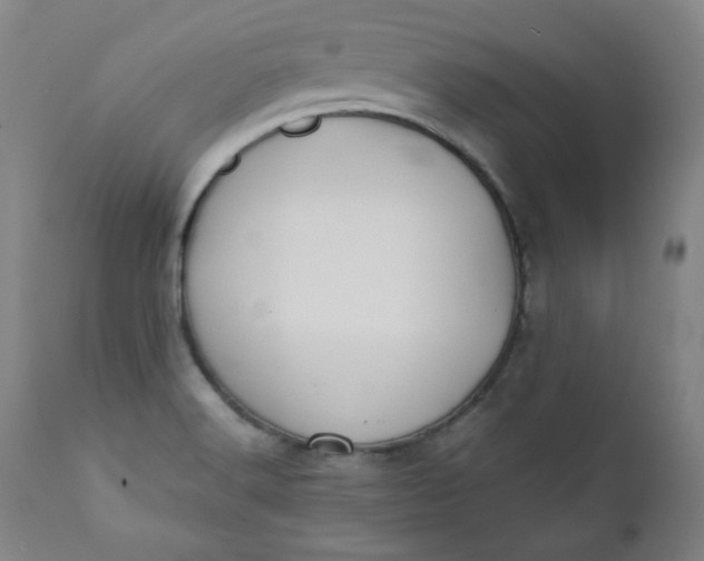 X0000110911516200907021423