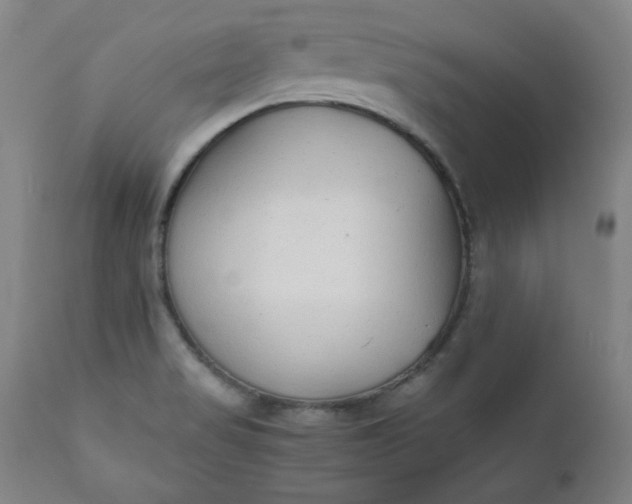 X0000110911517200907021423