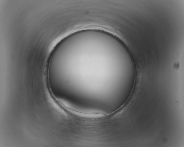 X0000110911518200907021423