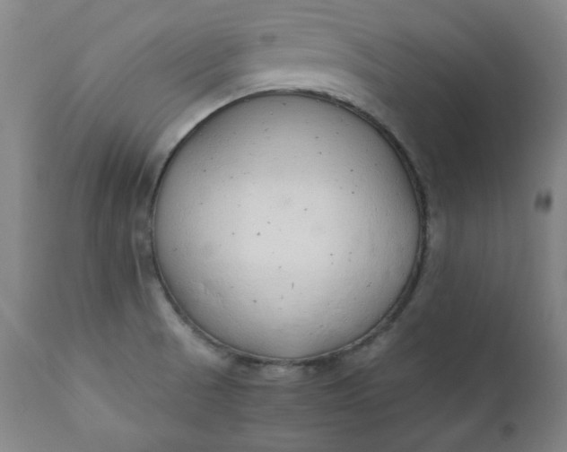 X0000110911521200907021423