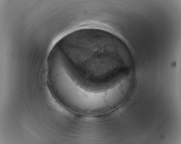 X0000110911522200907021423