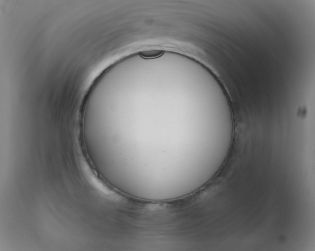 X0000110911523200907021423