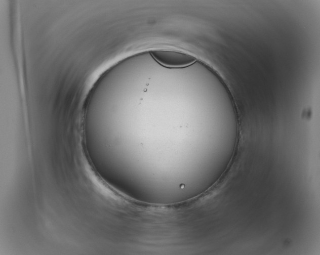 X0000110911526200907021423