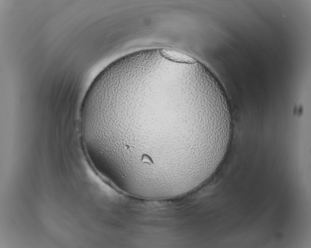 X0000110911527200907021423