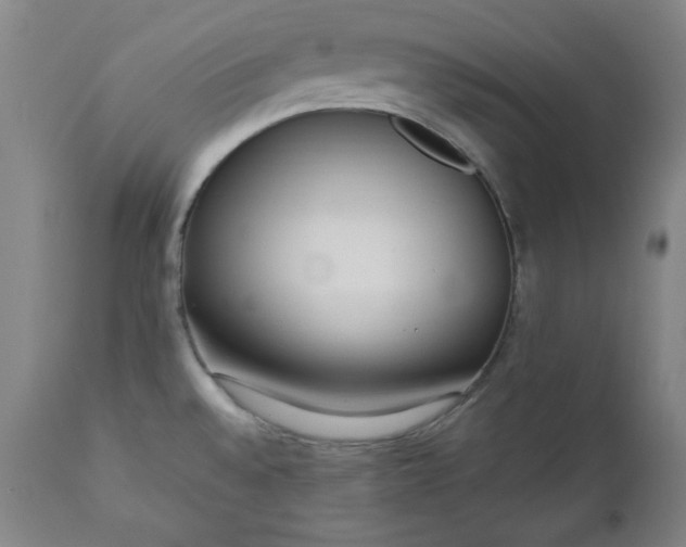 X0000110911528200907021423