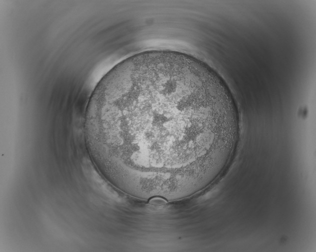 X0000110911529200907021423