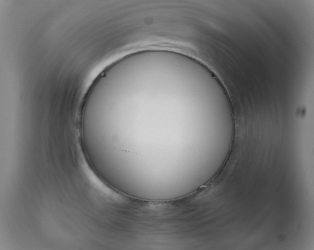 X0000110911531200907021423