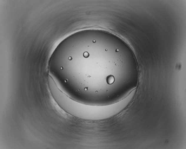 X0000110911532200907021423