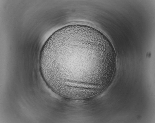 X0000110911533200907021423