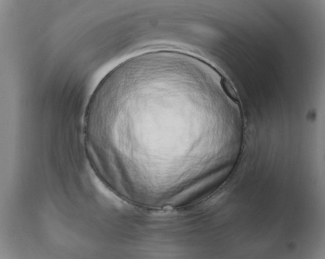 X0000110911535200907021423