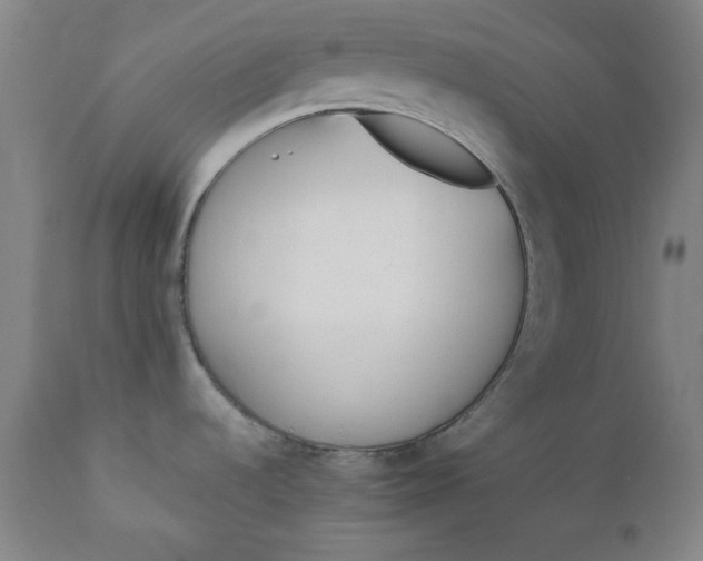 X0000110911536200907021423