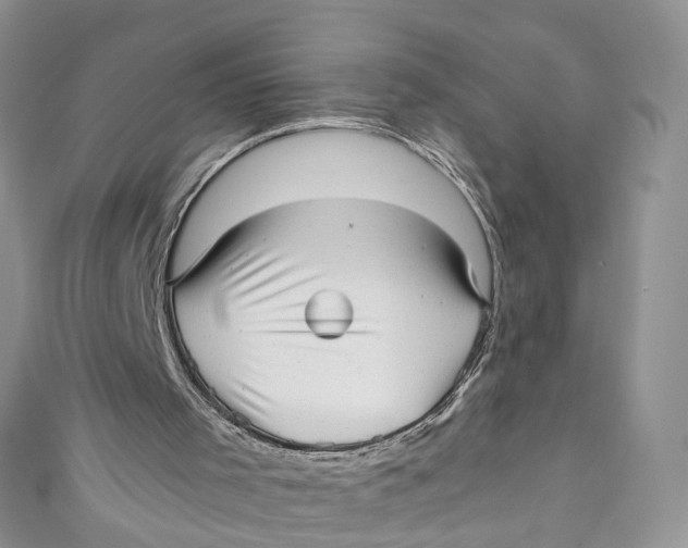 X0000110910001200907091446