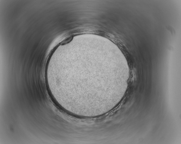 X0000110910004200907091446