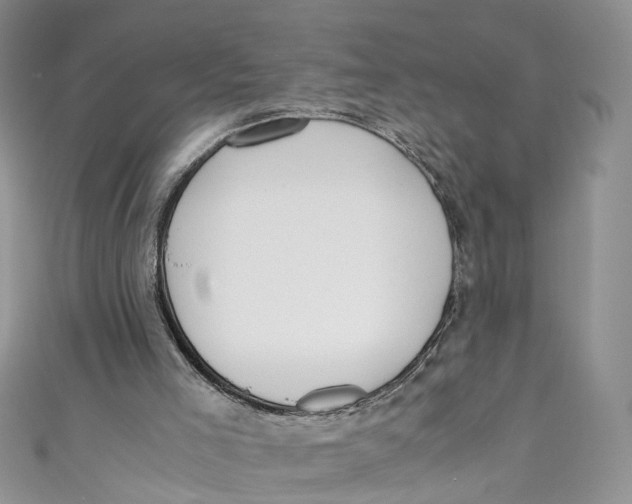 X0000110910005200907091446