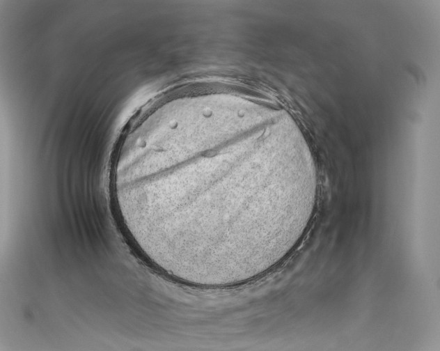 X0000110910006200907091446