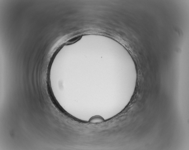 X0000110910007200907091446