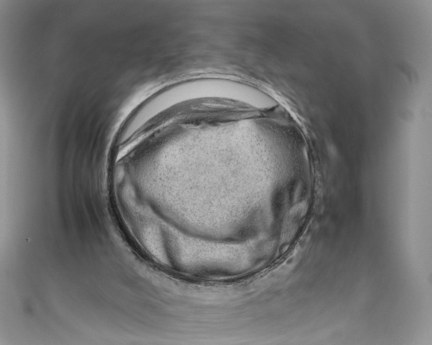 X0000110910008200907091446