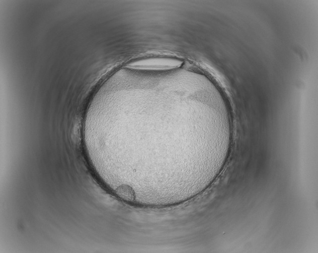 X0000110910009200907091446