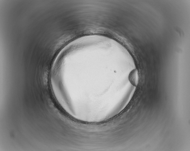 X0000110910010200907091446