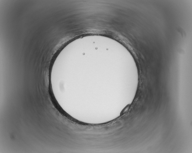 X0000110910011200907091446