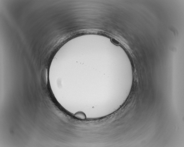 X0000110910013200907091446