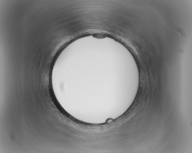 X0000110910015200907091446