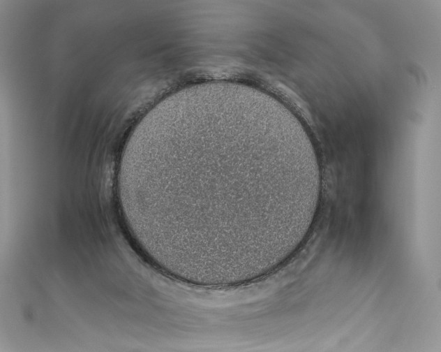 X0000110910018200907091446