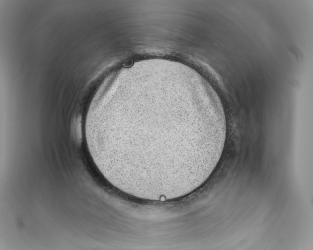 X0000110910020200907091446