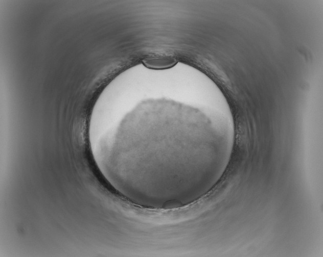 X0000110910023200907091446